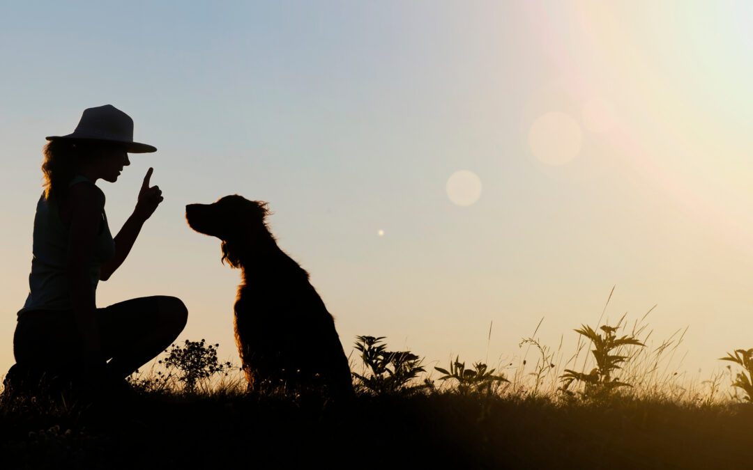Silhouette of a dog trainer in charleston, sc working with a dog.