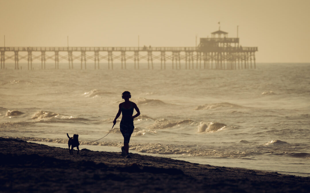Jogging with a dog on the beach in Charleston SC